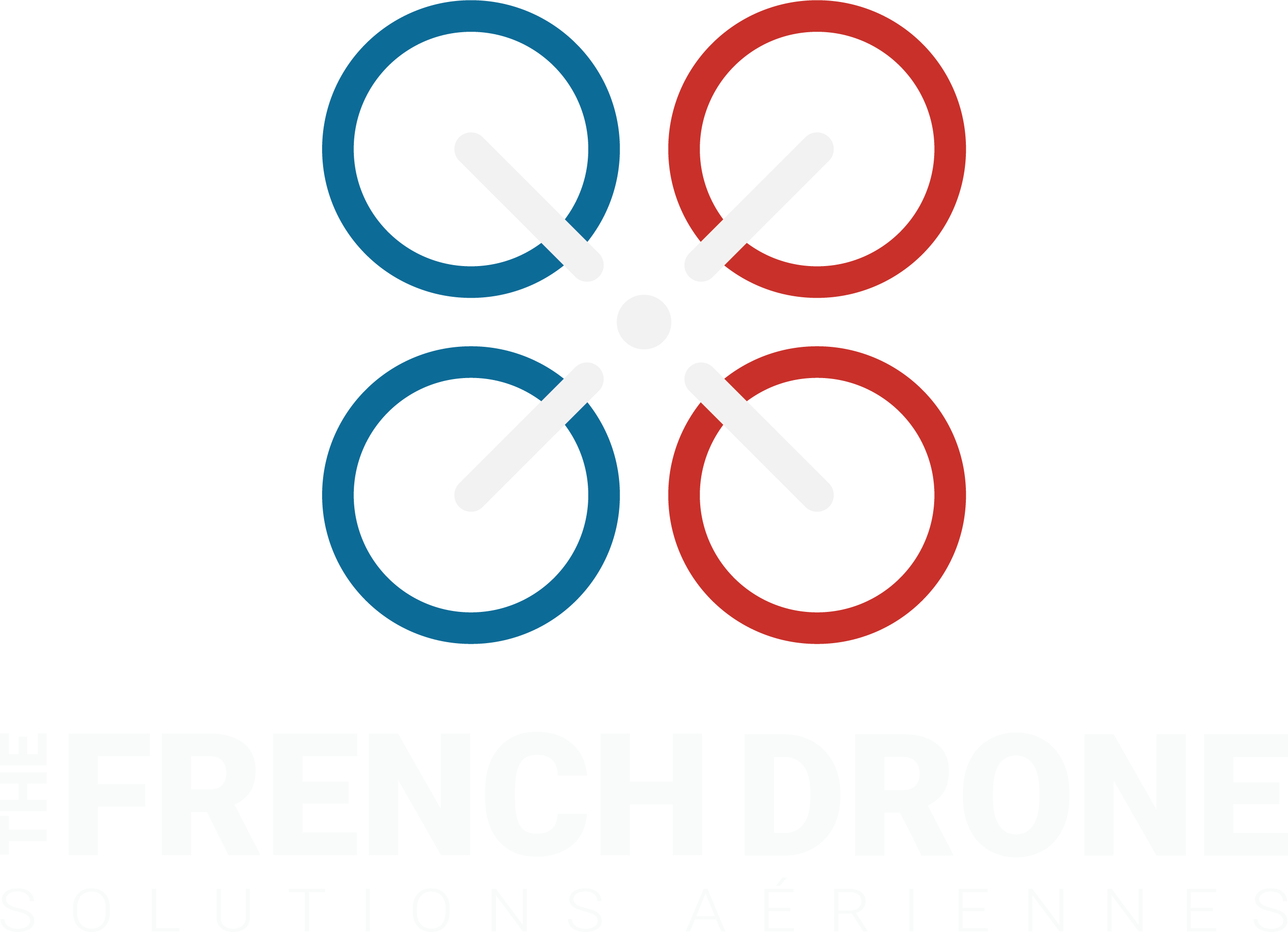 Logo The French Drone